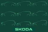 Škoda Auto na domácím trhu posílila svou pozici