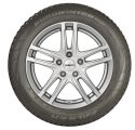 EUROWINTER-HS01-with Rim DEZENT TZ