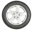 EUROWINTER-HS01-with Rim