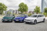 Program Volkswagen Fleet