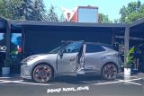 Cupra Raval