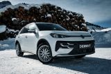 Dezent Ky silver VW T Roc winter