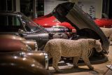 V Plzni byl otevřen nejmodernější showroom vozů značek Jaguar a Land Rover v České republice